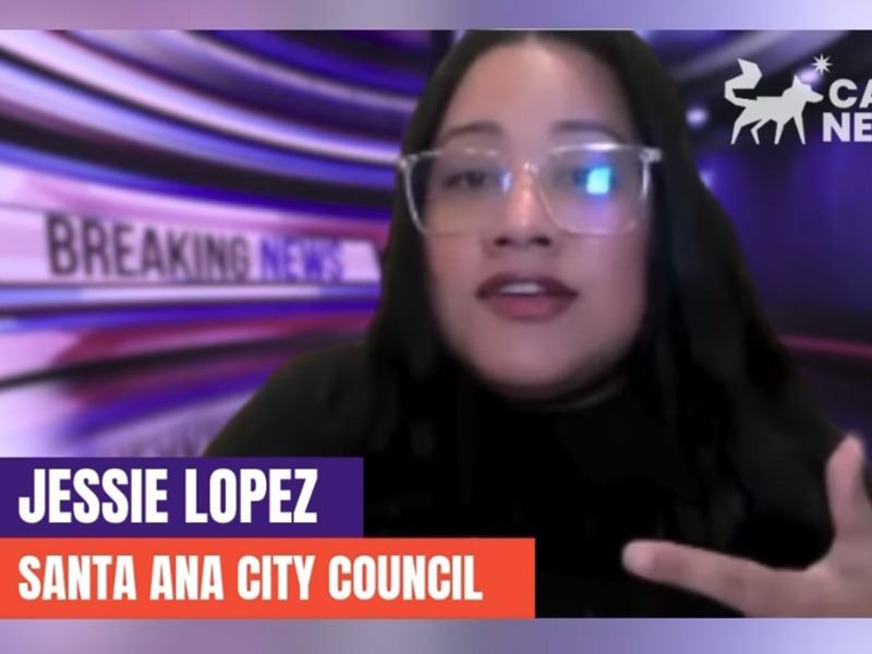 Jessie Lopez in front of a purple background speaking about protecting immigrant communities.