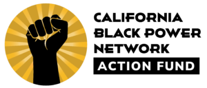 California Black Power Network Action Fund logo, showing a fist with a sunburst behind it.